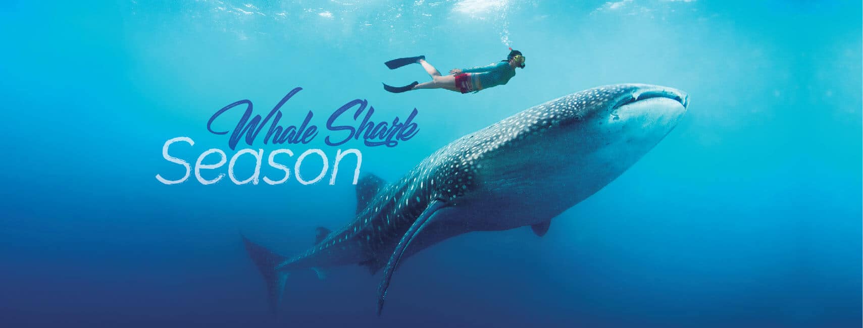 ScubaCaribe Riu Palace Jamaica