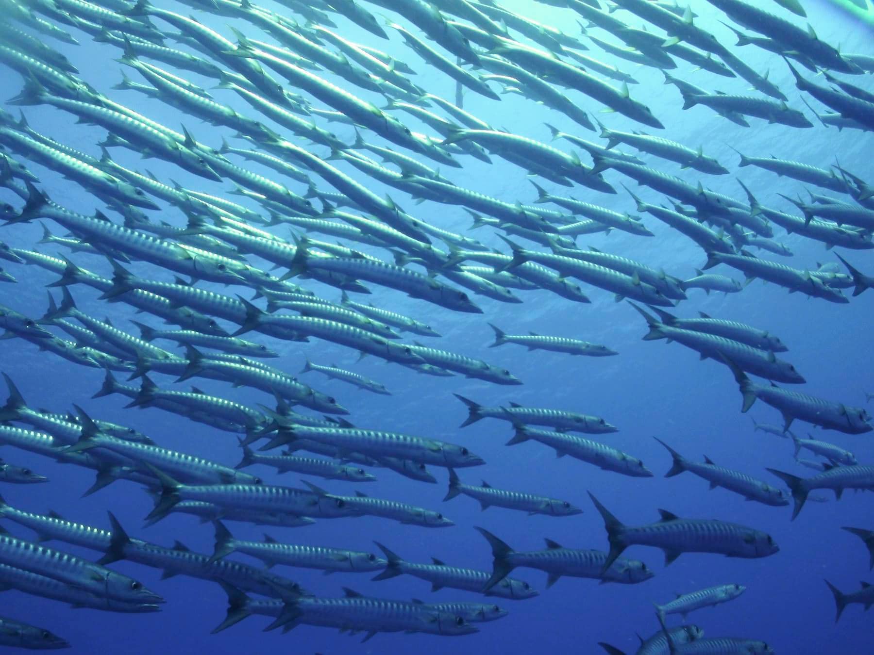 Canal de Ulong Islas Marshall