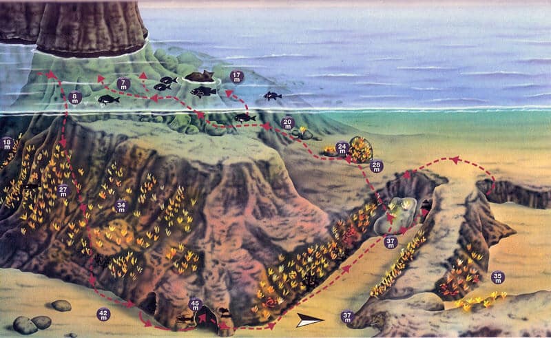 El Recorrido que se hace en Pota del Llop