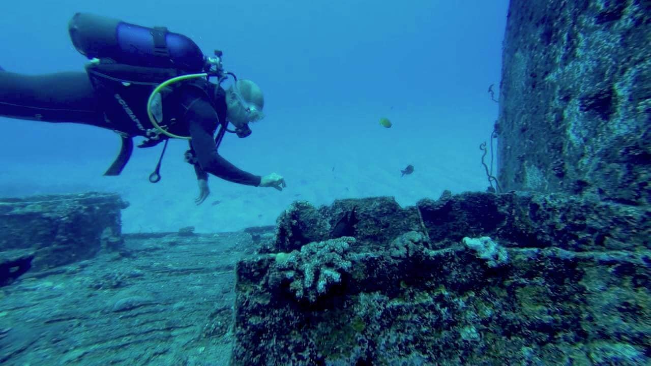 Bucear en St. Jacques, Mauricio