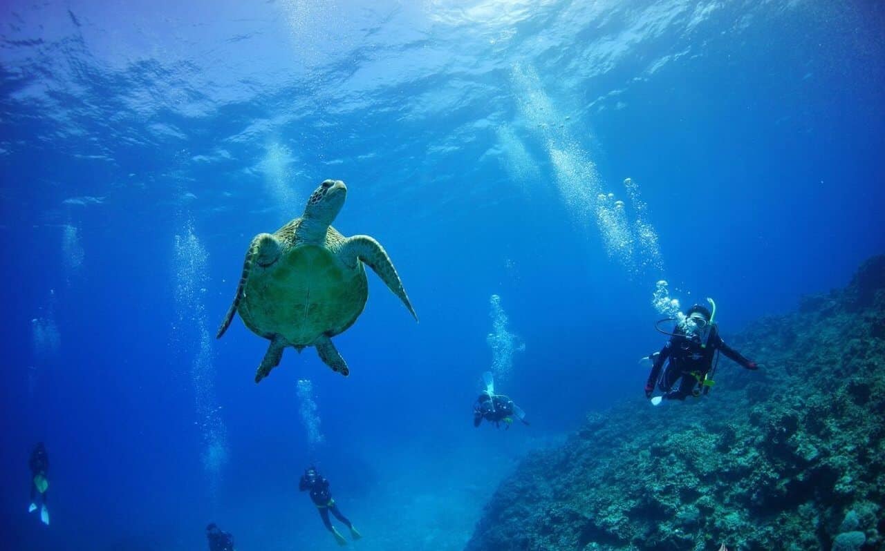 Bucear en Tokunoshima