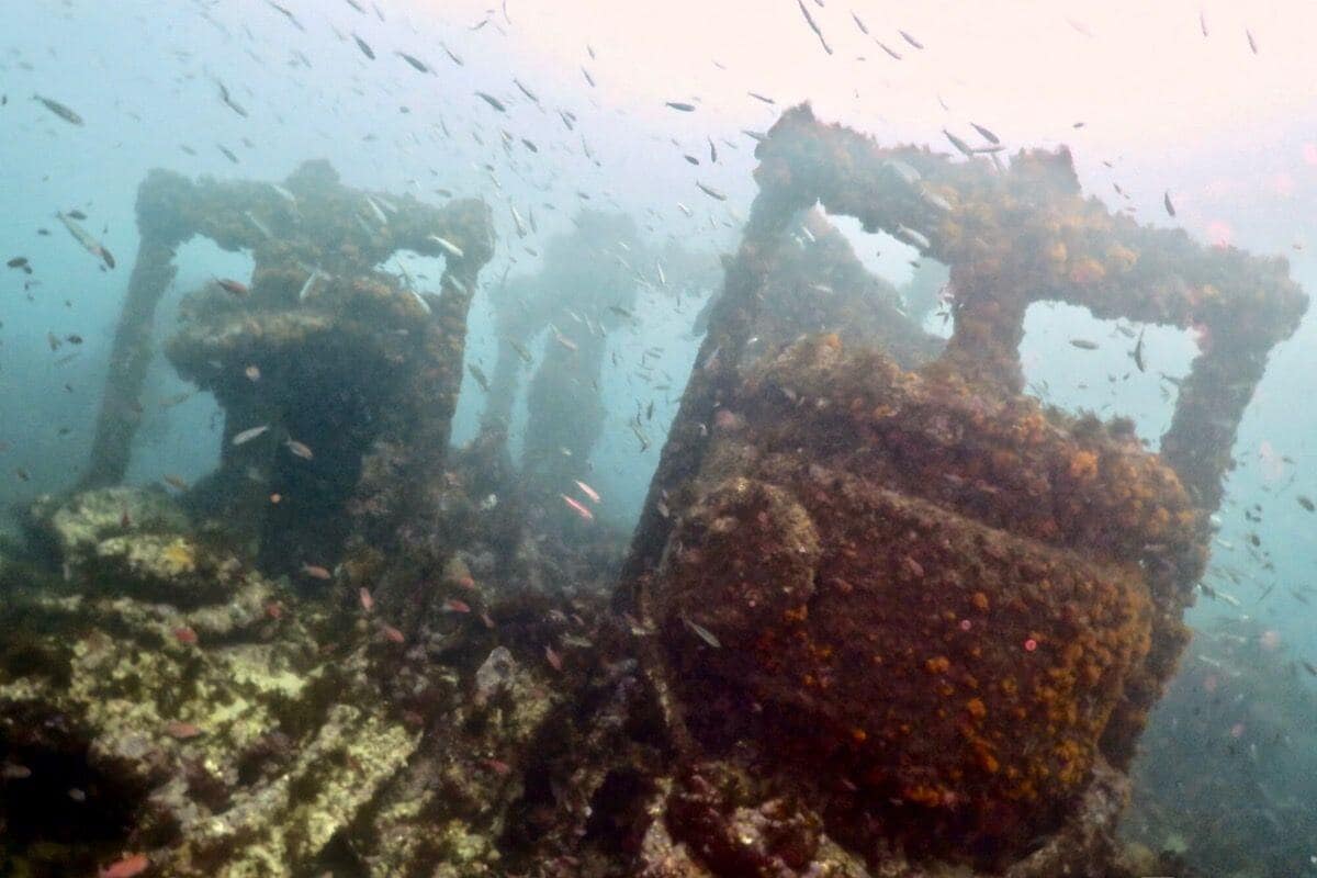 Buceo en España: El Pecio del San Andrés
