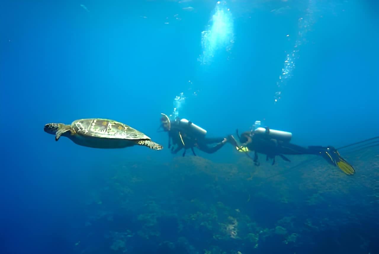 Bahía Tortuga de Isla Yonaguni