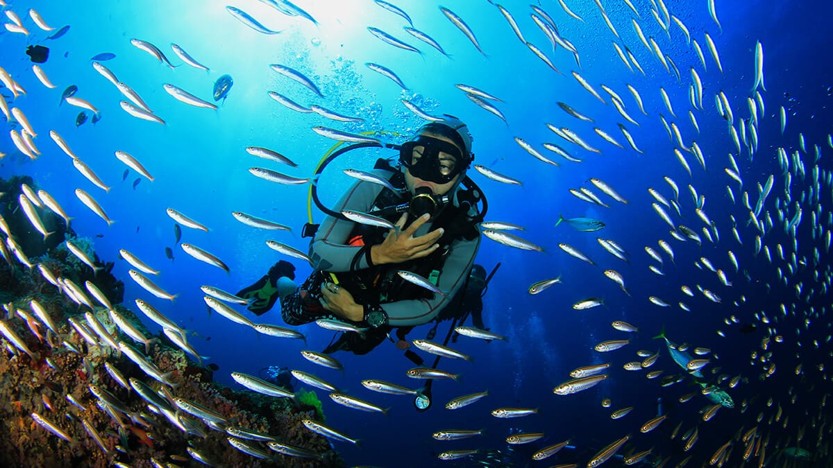 Buceo en Costa Rica