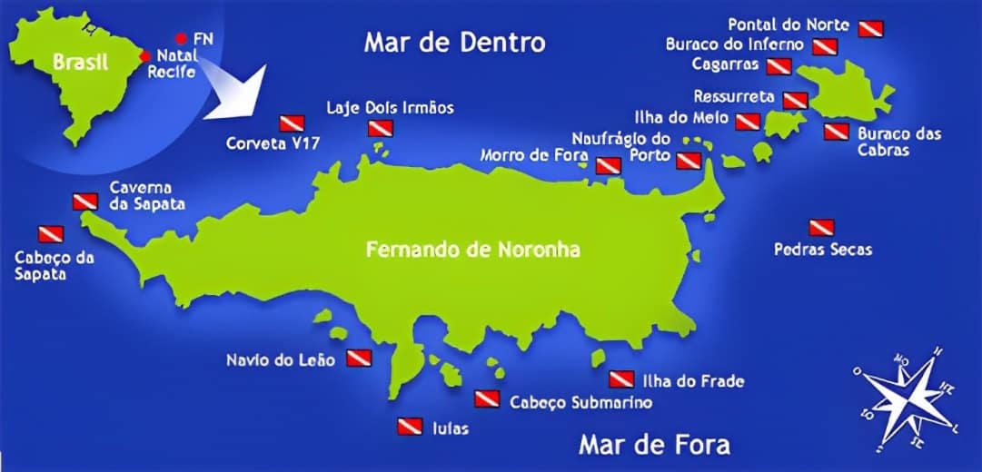 Buceador en aguas azules transparentes de Fernando de Noronha con una tortuga verde y un banco de peces sobre un arrecife rocoso