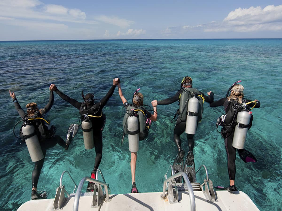 Diani Marine, Buvcear