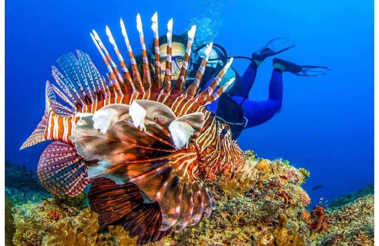 buceo en Baobab, Kenia