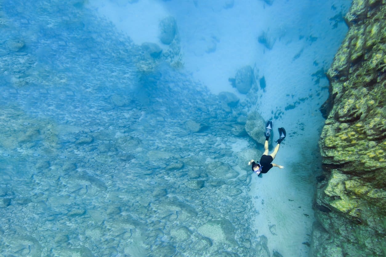 Fernando de Noronha: Cagarras