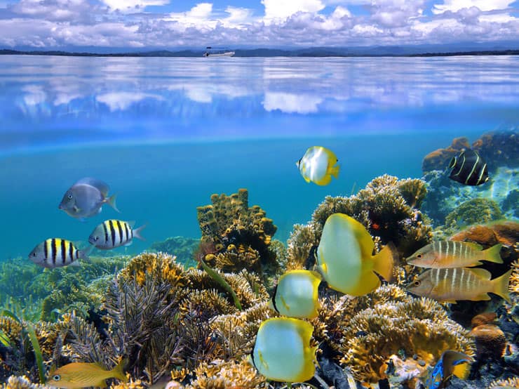 Buceo en Costa Rica
