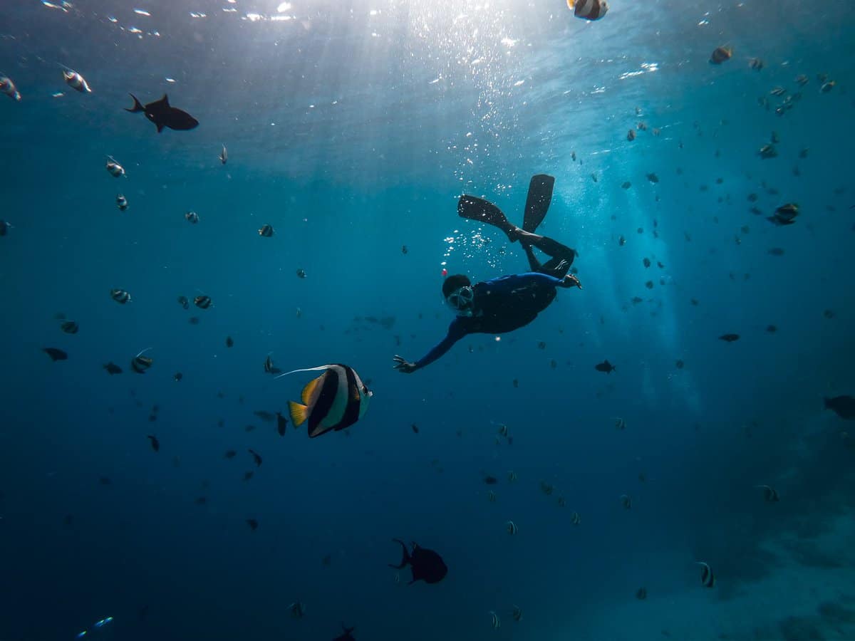 Apnea en Mike's Cupboard