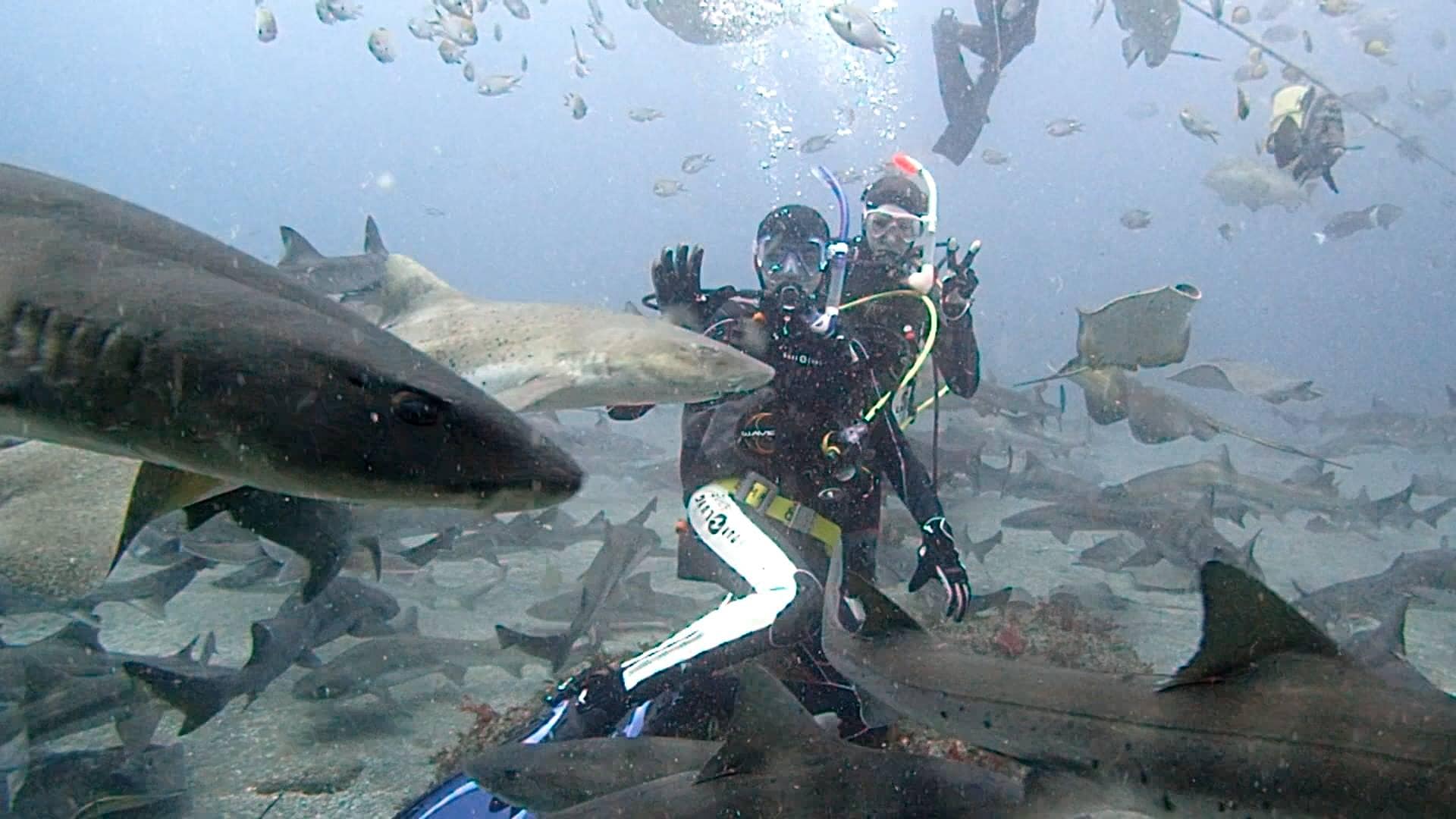 Hafu Drop-Off de Isla Yonaguni