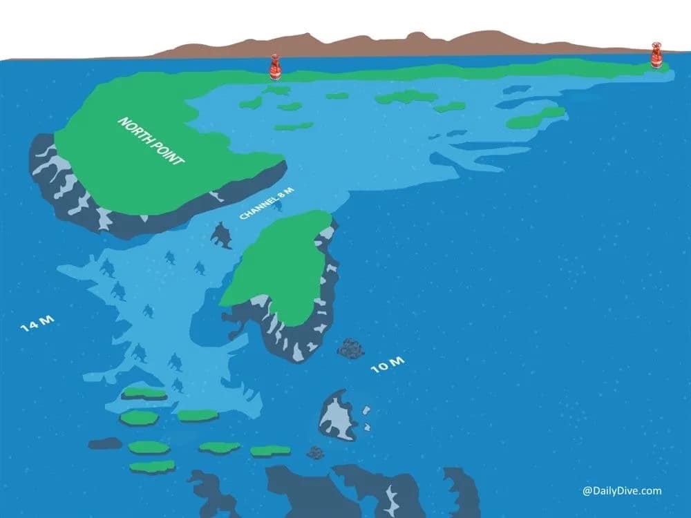 Bucear en el Mar Rojo - Sha'ab El Erg