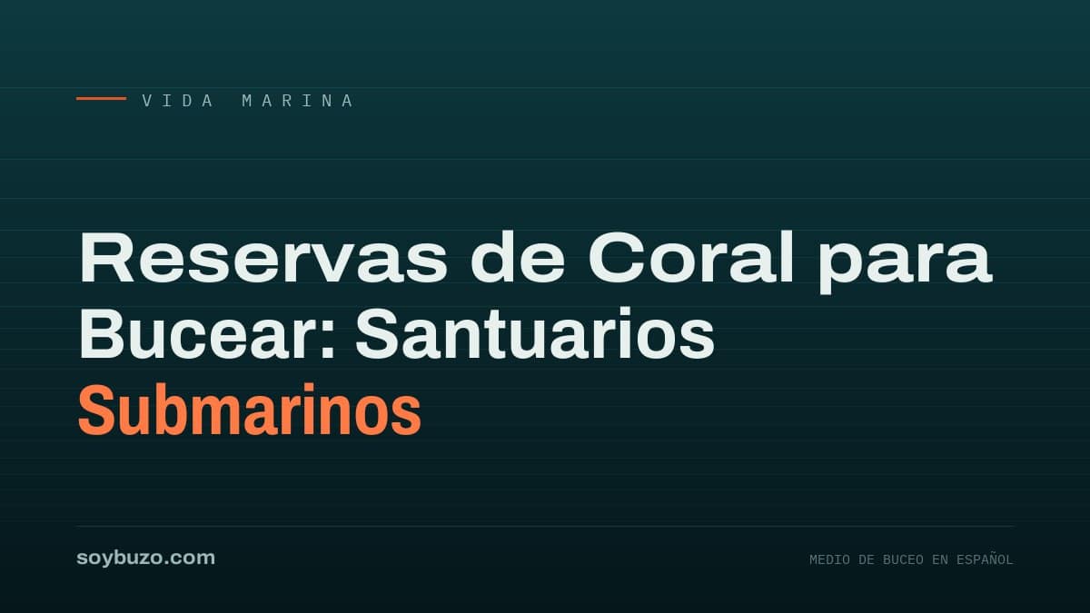 Portada de soybuzo.com con el título «Reservas de Coral para Bucear: Santuarios Submarinos»