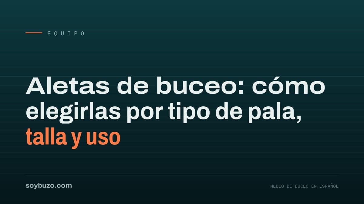 Varias aletas de buceo de distintos tipos de pala apoyadas en el borde de una embarcación