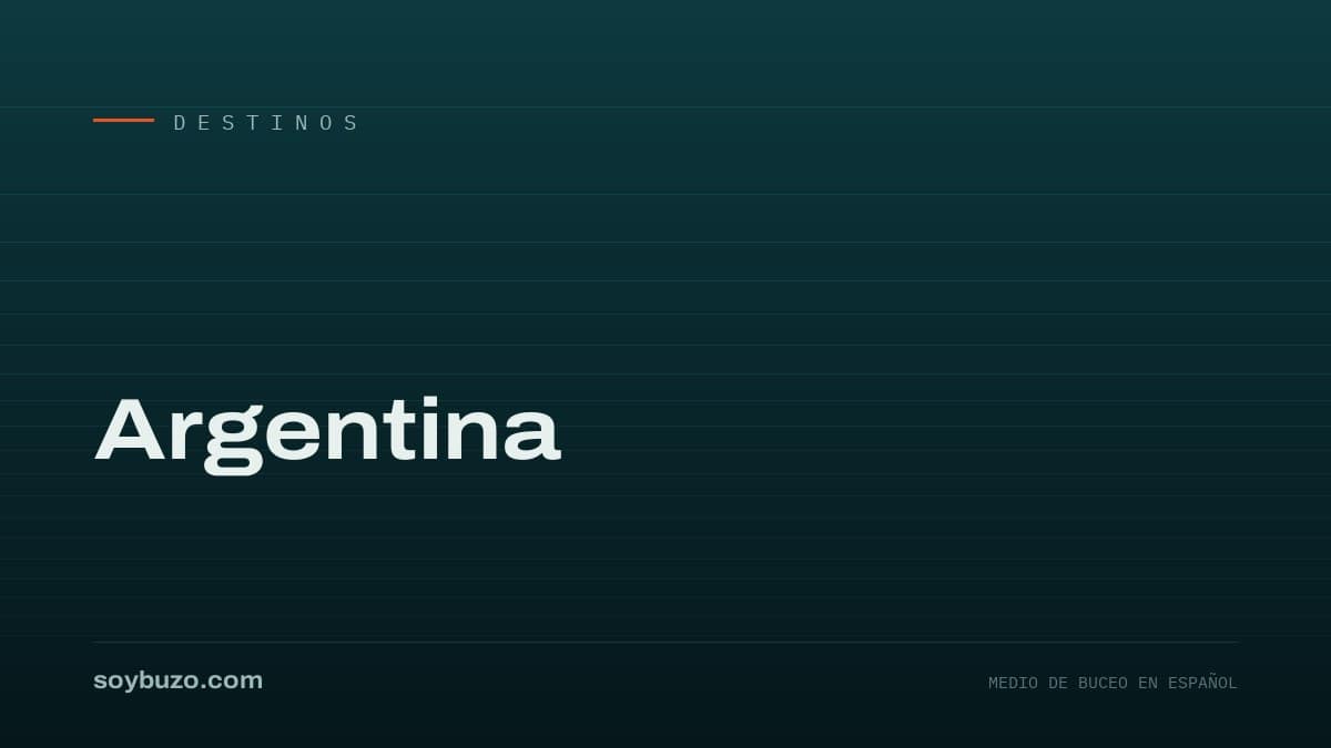 Portada de soybuzo.com con el título «Argentina»