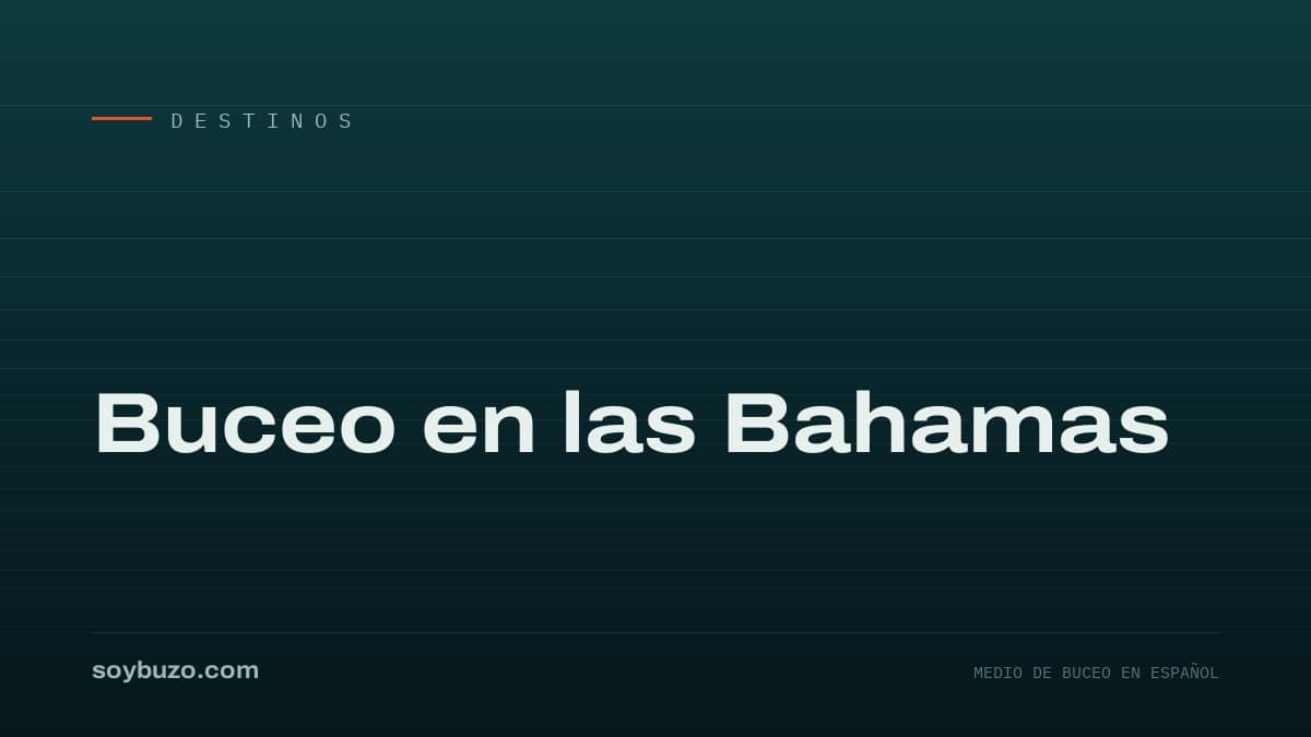 Portada de soybuzo.com con el título «Buceo en las Bahamas»