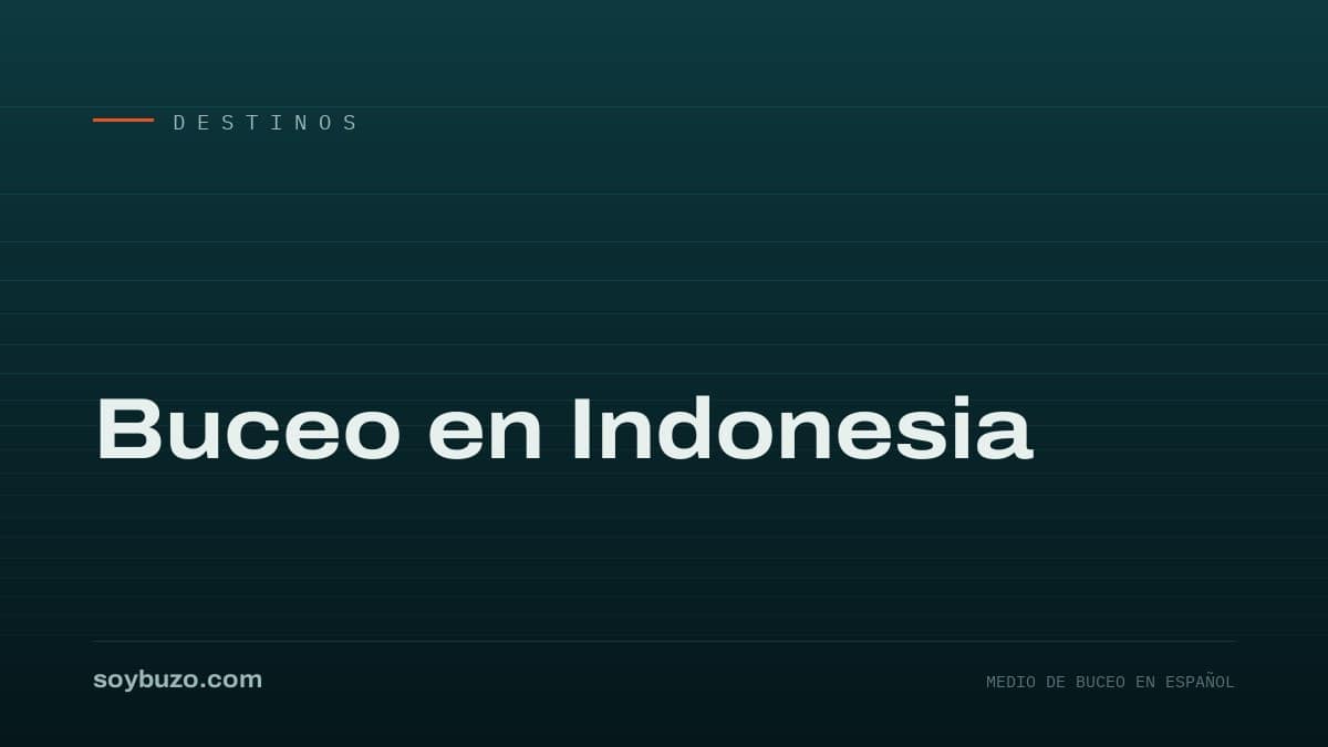 Portada de soybuzo.com con el título «Buceo en Indonesia»